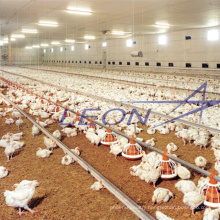 Leon series poultry farm feeding and drinking system